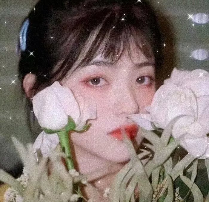 穿心虫
