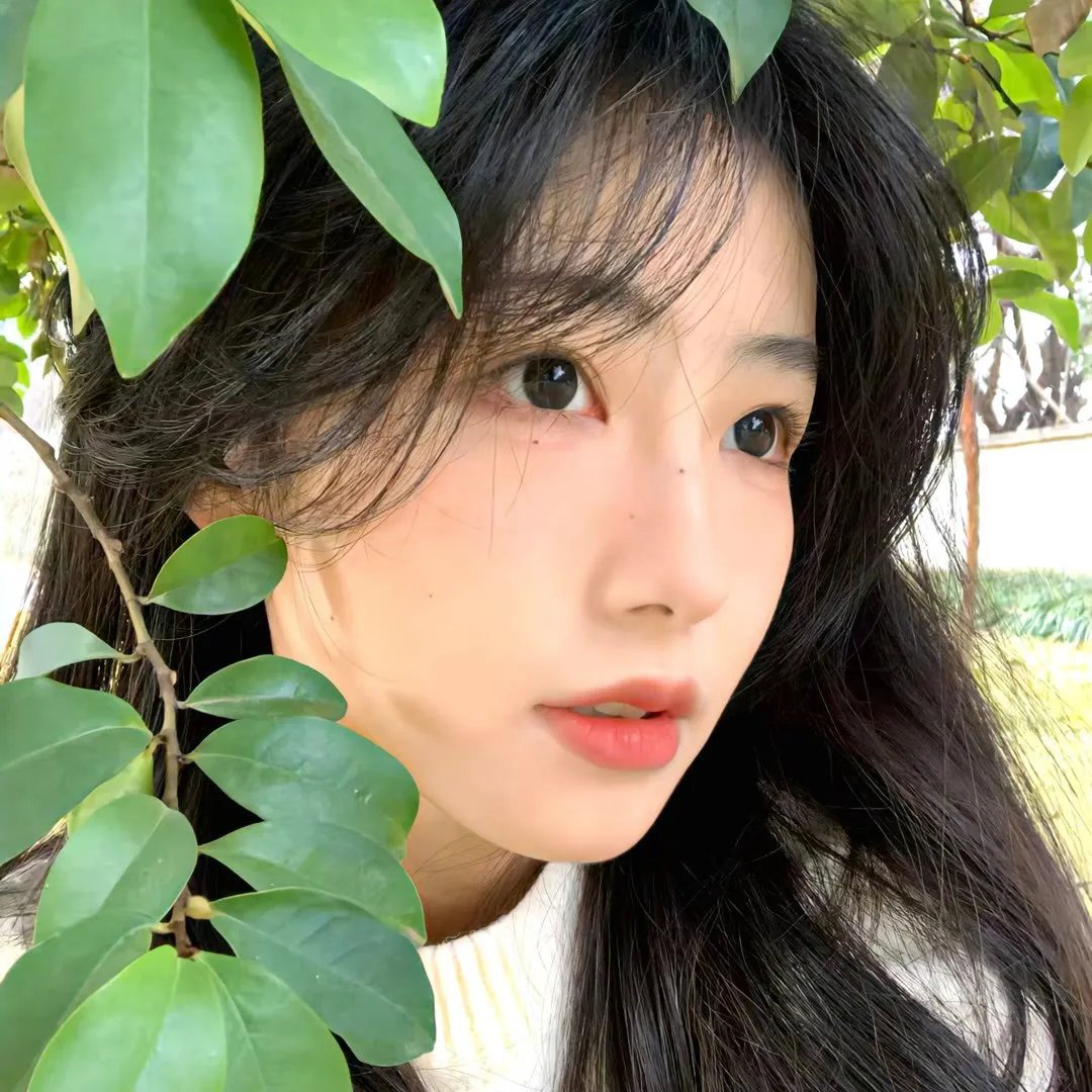 渡假留香